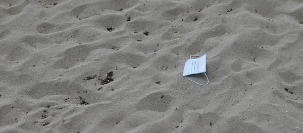 A protective face mask lies on the sand at Playa de Palma beach ahead of Spain's official reopening of the borders June 21 following the coronavirus disease (COVID-19) outbreak, in Palma de Mallorca, Spain June 16, 2020. A protective face mask lies on the sand at Playa de Palma beach ahead of Spain's official reopening of the borders June 21 following the coronavirus disease (COVID-19) outbreak, in Palma de Mallorca, Spain June 16, 2020. - Sputnik International