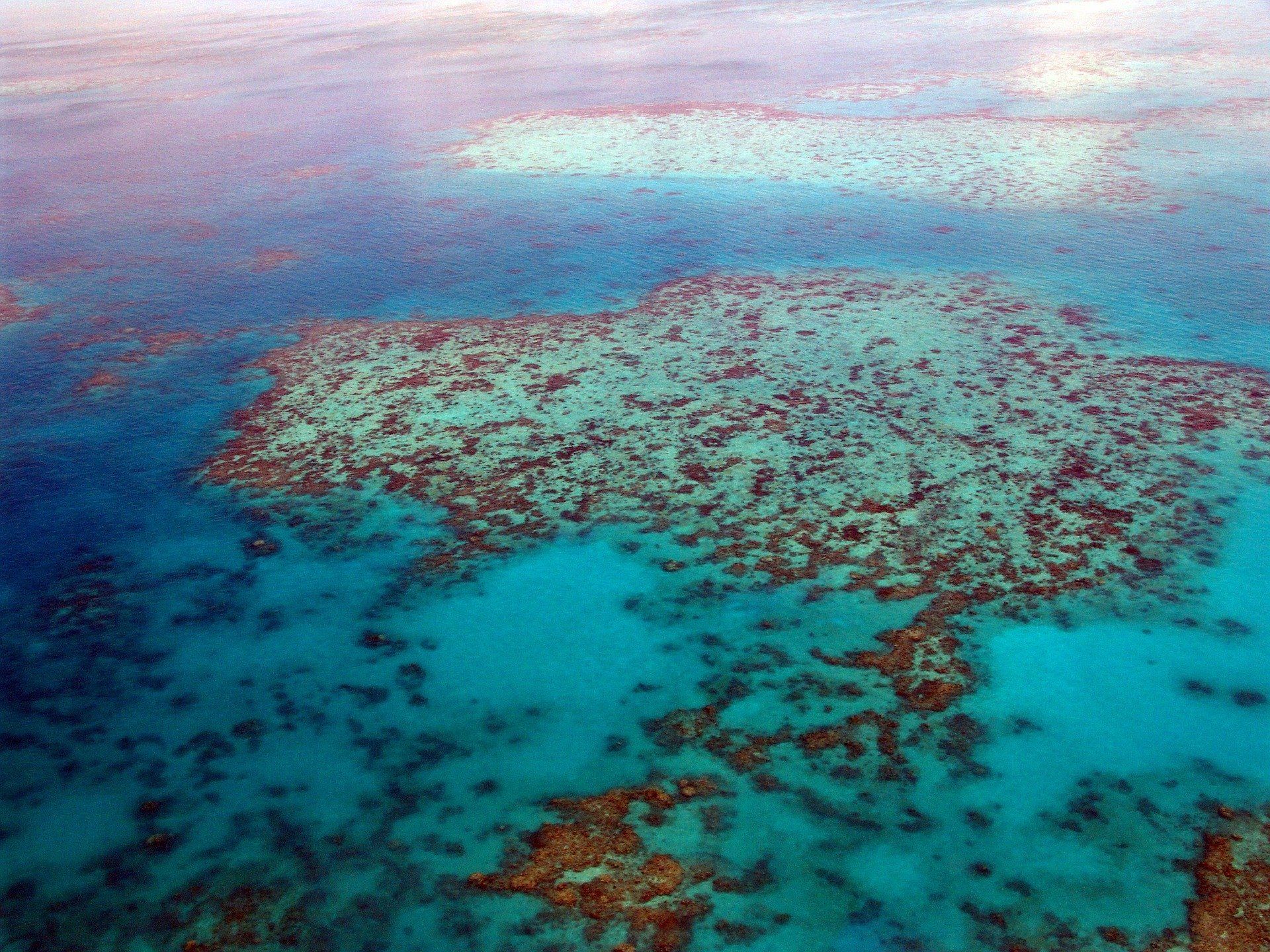 Great Barrier Reef in Australia - Sputnik International, 1920, 16.09.2022