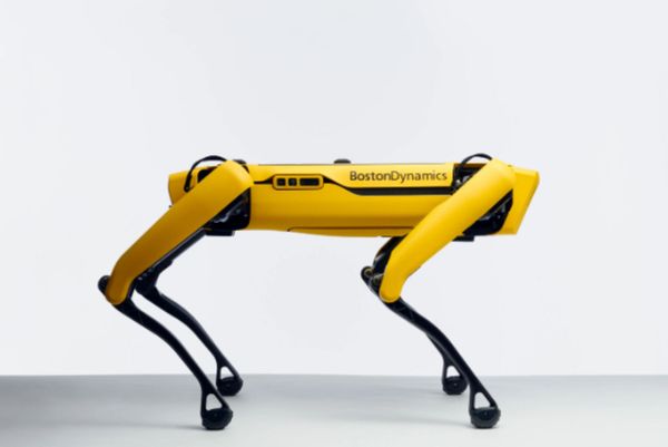 Man’s Best Mechanical Friend: Robotic Dog Hits US Shelves Man’s Best Mechanical Friend: Robotic Dog Hits US Shelves - Sputnik International