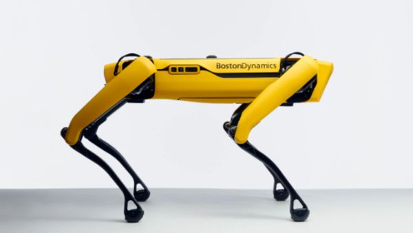 Man’s Best Mechanical Friend: Robotic Dog Hits US Shelves - Sputnik International