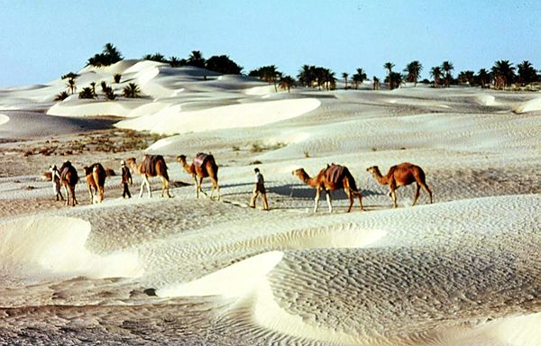 Dust Clouds and Vast Expanses: Deserts Capable of Engulfing Cities Dust Clouds and Vast Expanses: Deserts Capable of Engulfing Cities - Sputnik International