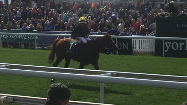 Stradivarius and Frankie Dettori Stradivarius and Frankie Dettori - Sputnik International