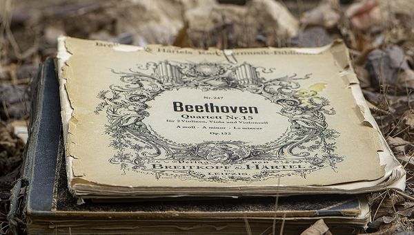 Beethoven's сomposition - Sputnik International