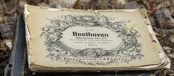 Beethoven's сomposition - Sputnik International