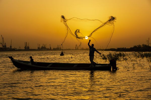 A fisherman casts his net at sunset in the Shatt Al-Arab River in the southern Iraqi city of Basra on 12 June 2020. - Sputnik International