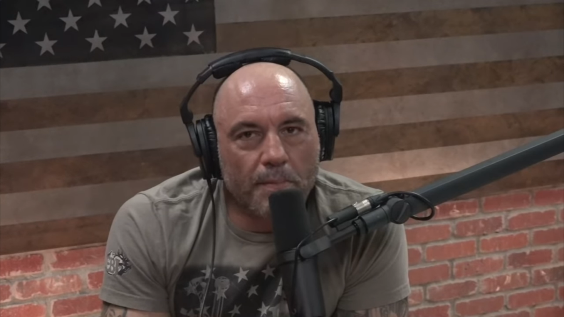 Joe Rogan Weighs in on Cancel Culture, Claims 'Straight White Men' Will Be 'Silenced' - Sputnik International, 1920, 19.05.2021