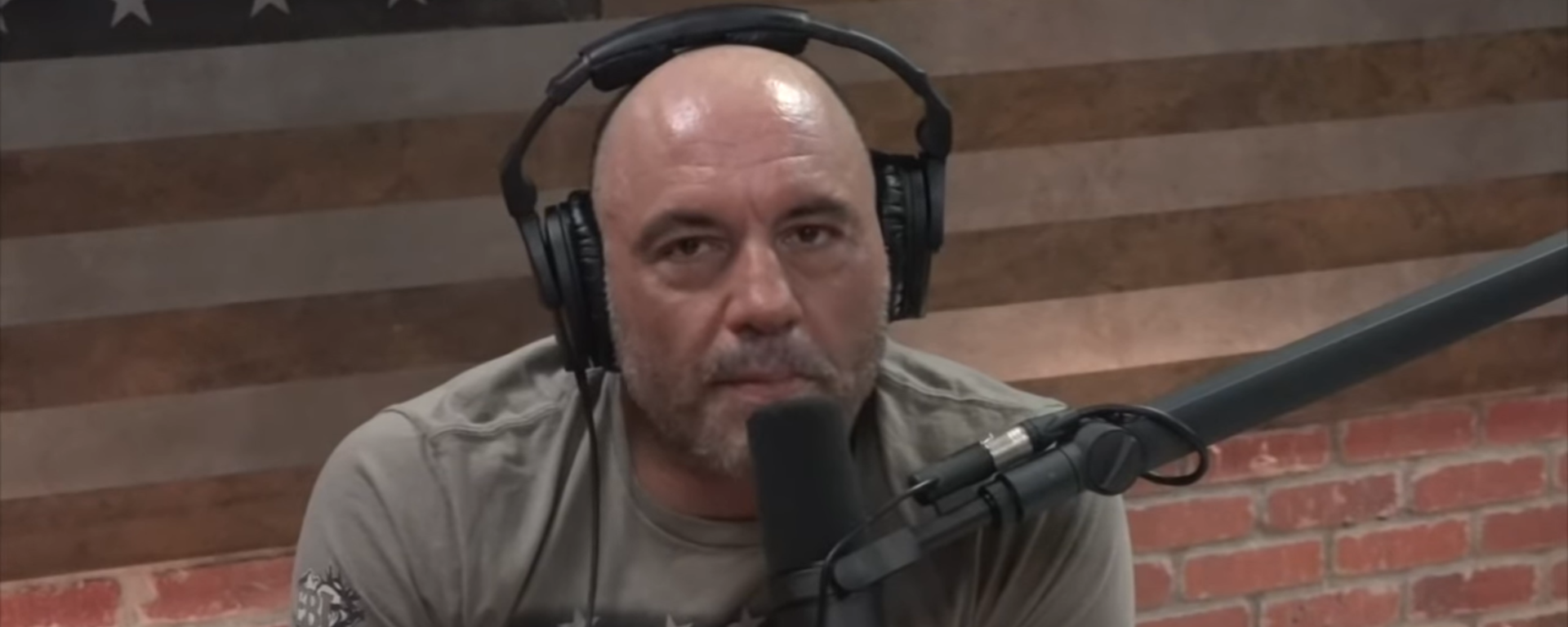 Joe Rogan - Sputnik International, 1920, 30.04.2021