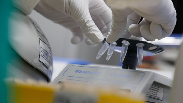 A scientist conducts sample sedimentation during the research and development of a vaccine against the coronavirus disease (COVID-19) at a laboratory of BIOCAD biotechnology company in Saint Petersburg, Russia June 11, 2020. A scientist conducts sample sedimentation during the research and development of a vaccine against the coronavirus disease (COVID-19) at a laboratory of BIOCAD biotechnology company in Saint Petersburg, Russia June 11, 2020. - Sputnik International