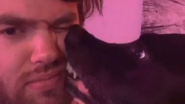 Dog and bearded man - Sputnik International