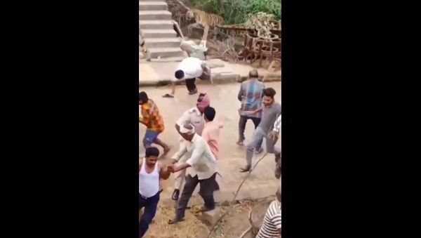 Where is corona? This is how villagers of Bamni (Chandrapur) responded - Sputnik International