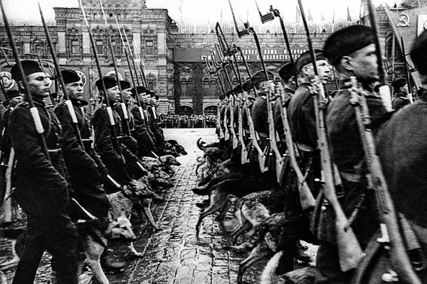 Rows of sappers with tracker dogs marching on Red Square during the first victory parade, 24 June 1945. - Sputnik International