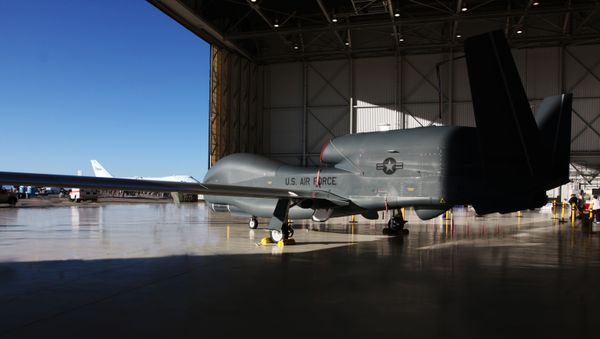 Global Hawk Drone - Sputnik International