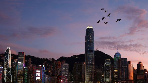 Birds fly above a sunset view and a skyline of buildings during a meeting on national security legislation, in Hong Kong, China June 29, 2020 Birds fly above a sunset view and a skyline of buildings during a meeting on national security legislation, in Hong Kong, China June 29, 2020 - Sputnik International