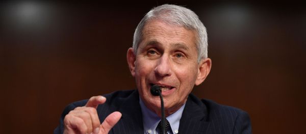 Dr Anthony Fauci, director of the National Institute for Allergy and Infectious Diseases, testifies during a Senate Health, Education, Labor and Pensions (HELP) Committee hearing on Capitol Hill in Washington, U.S., June 30, 2020. - Sputnik International