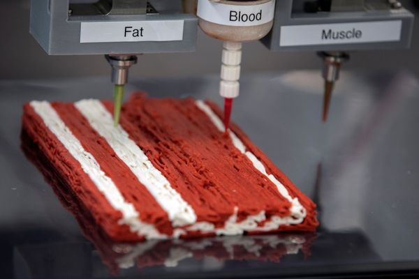 Israeli start-up Redefine Meat's 3D printer produces a plant-based steak mimicking real beef during a demonstration for Reuters at their facility in Rehovot, Israel June 29, 2020 - Sputnik International