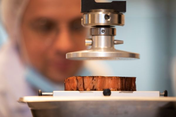 A food technician tests a cooked 3D printed plant-based steak mimicking real beef and produced by Israeli start-up Redefine Meat during a demonstration for Reuters at their facility in Rehovot, Israel June 29, 2020 - Sputnik International