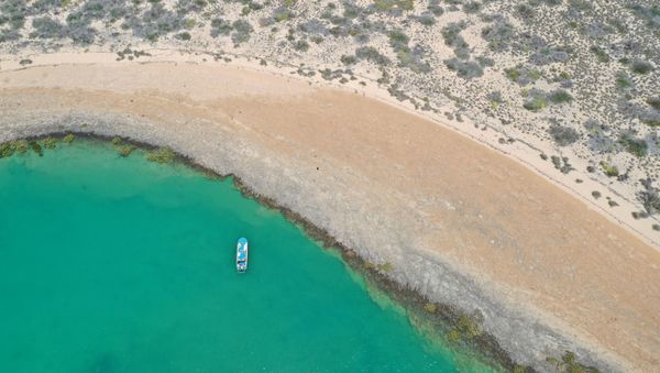 A general view of the area where researchers from Flinders University, the University of Western Australia, and James Cook University discovered underwater artefacts dating back thousands of years, when the seabed was dry land, in Australia, 2019. - Sputnik International