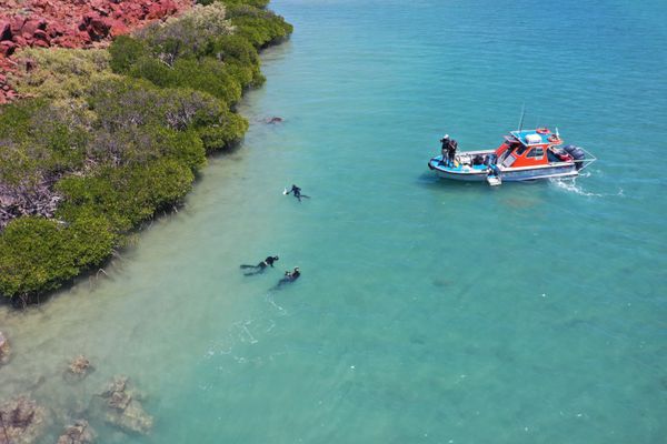 Researchers from Flinders University, the University of Western Australia, and James Cook University working on discovering underwater artefacts dating back thousands of years when the seabed was dry land, in the Dampier Archipelago in Australia, 2019. - Sputnik International