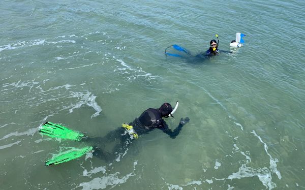 Divers searching for underwater artefacts that date back thousands of years when the seabed was dry land, in the Dampier Archipelago in Australia, 2019. - Sputnik International