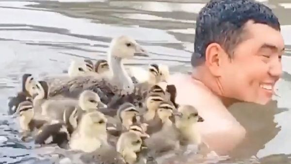 Animal love story   - Sputnik International