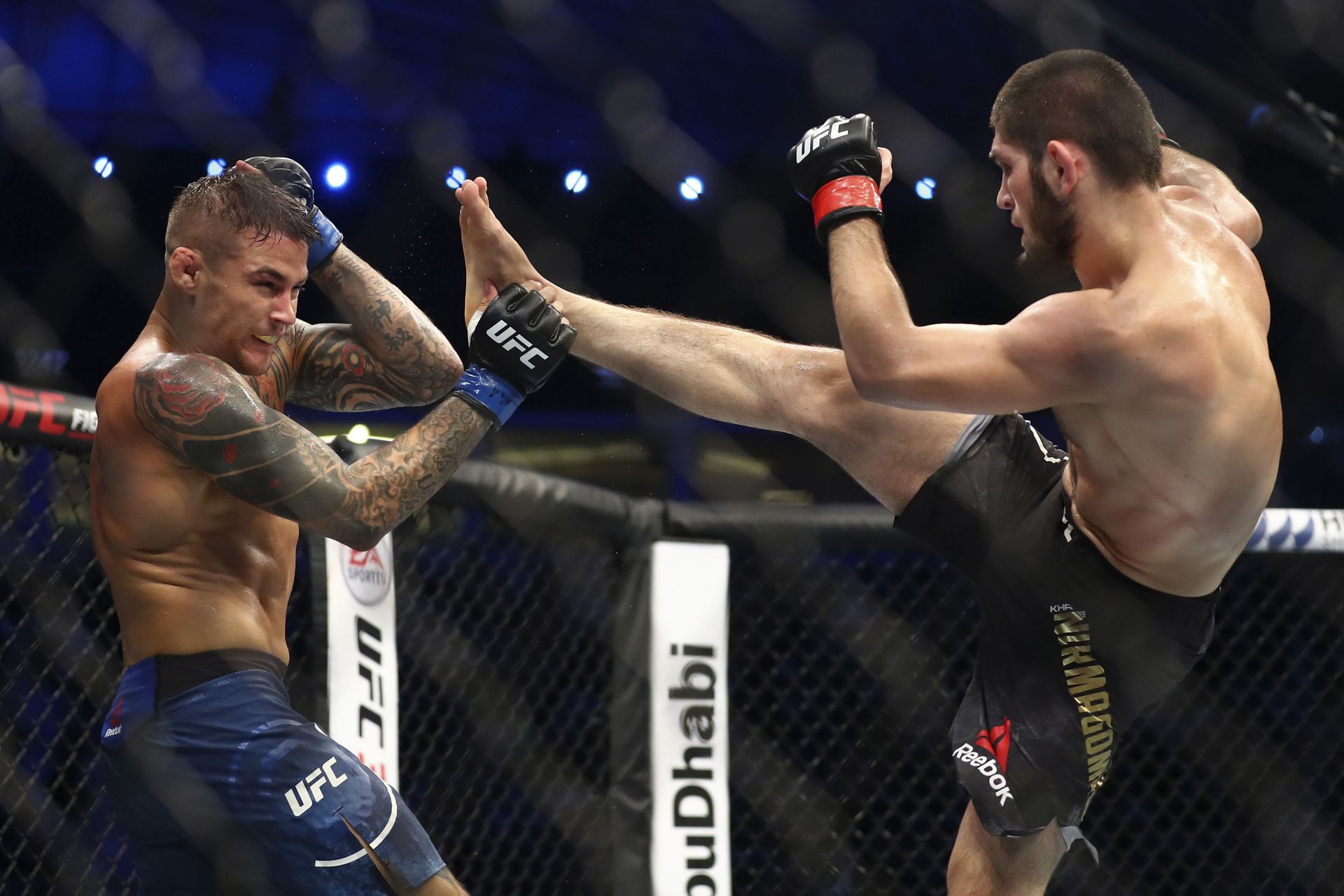 Khabib Nurmagomedov Recommends Wasting No Time Waiting for His Return to Octagon Khabib Nurmagomedov Recommends Wasting No Time Waiting for His Return to Octagon - Sputnik International, 1920, 29.05.2021