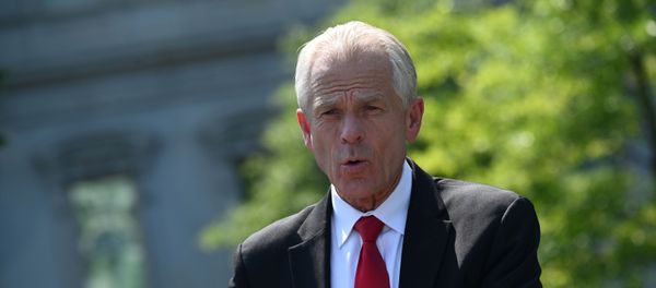 White House adviser Peter Navarro speaks to reporters outside the West Wing in Washington, U.S. July 3, 2020. - Sputnik International