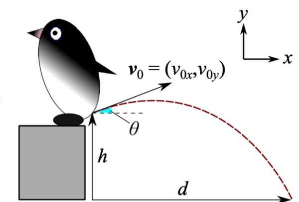 Study Finds Penguin Projectile Poop Has 4.3-Foot Range Study Finds Penguin Projectile Poop Has 4.3-Foot Range - Sputnik International
