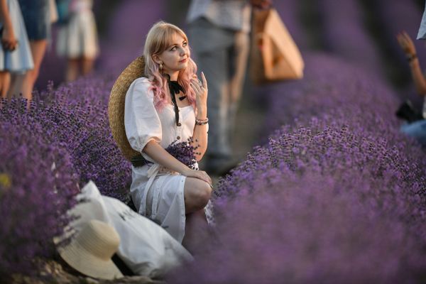 A girl on a lavender field in Crimea. Lavender plantations occupy more than 120 hectares in Bakhchisarai district near the village of Turgenevka. A girl on a lavender field in Crimea. Lavender plantations occupy more than 120 hectares in Bakhchisarai district near the village of Turgenevka. - Sputnik International