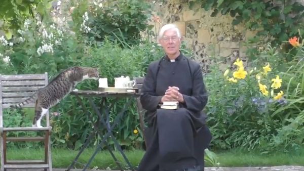 In the Canterbury Cathedral, the cat drank milk during the morning online sermon - Sputnik International