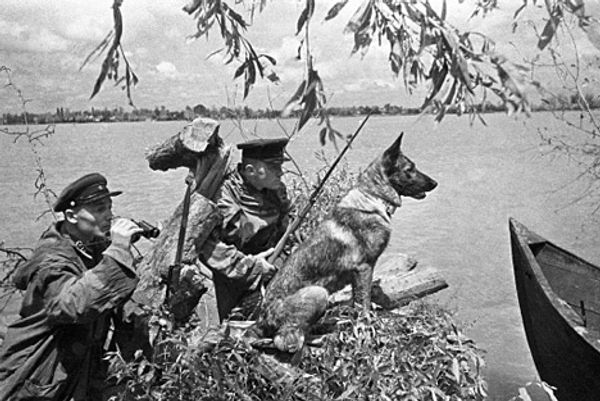 RIA Novosti, Georgy Zelma - Sputnik International