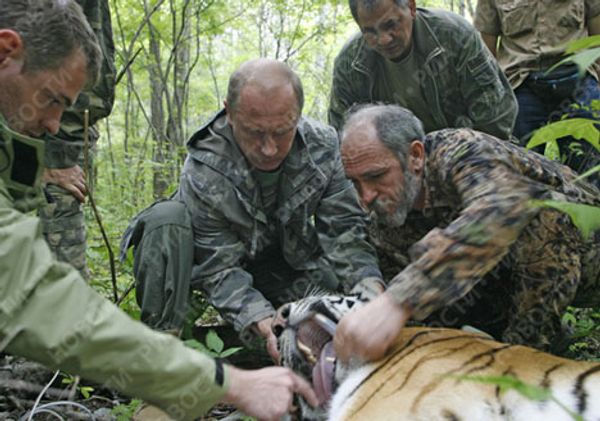 RIA Novosti, Alexey Druzhinin - Sputnik International