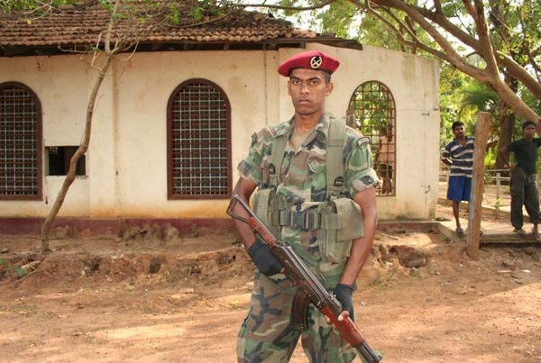 The Tamil Tigers were defeated by government forces in May - Sputnik International