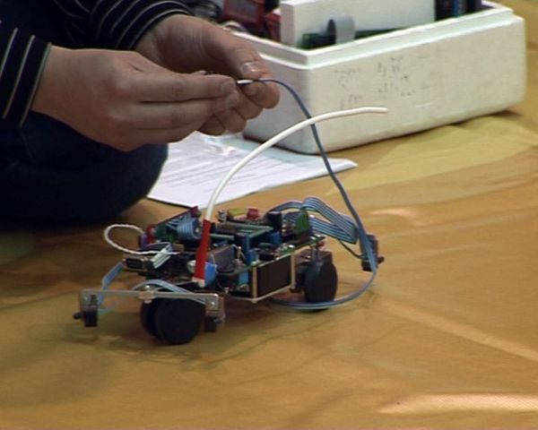 Steel creatures: best robots displayed in Moscow - Sputnik International
