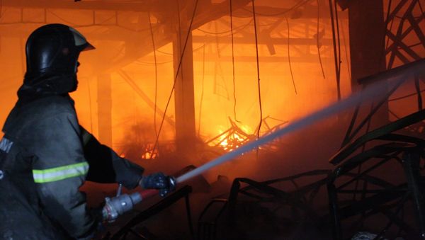  Death toll in Mexican nursery fire rises to 38 children  - Sputnik International