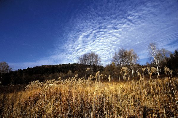  Russia could set up JVs for untapped land development  - Sputnik International