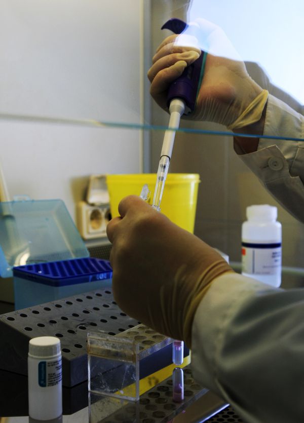 Russia allocates $136 million for swine flu vaccine - Sputnik International
