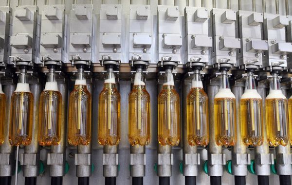 Russia's largest brewery to cut investments by two thirds in 2009 Russia's largest brewery to cut investments by two thirds in 2009 - Sputnik International