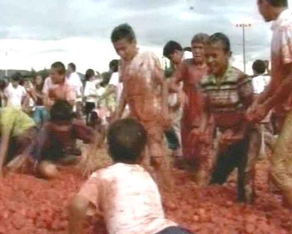 Colombia Tomatina - Sputnik International