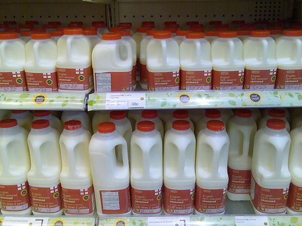  Russia lifts ban on Belarus dairy imports  - Sputnik International