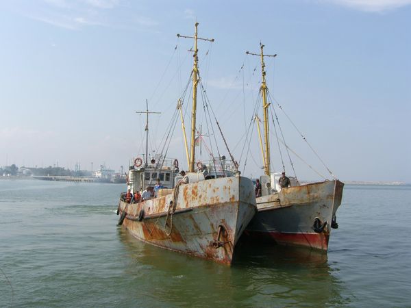 Poachers detained in the Caspian Sea Poachers detained in the Caspian Sea - Sputnik International