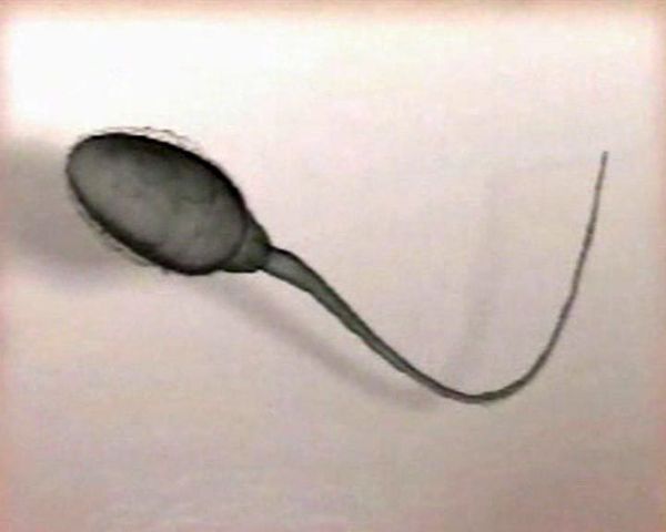 British Sperm  - Sputnik International
