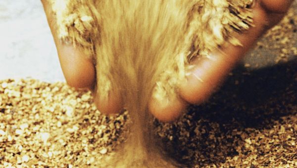 Extracted gold Extracted gold - Sputnik International