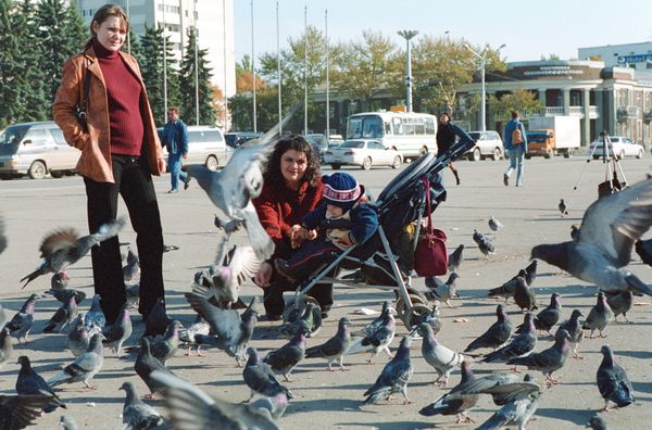Some 30,000 Polish carrier pigeons disappear during race - Sputnik International