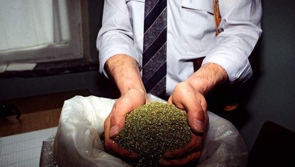Marijuana - Sputnik International