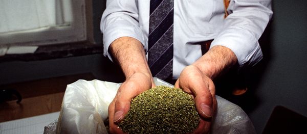 marijuana - Sputnik International
