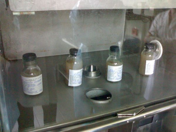 Russia will start to produce a vaccine against the swine flu virus in October 2009 - Sputnik International