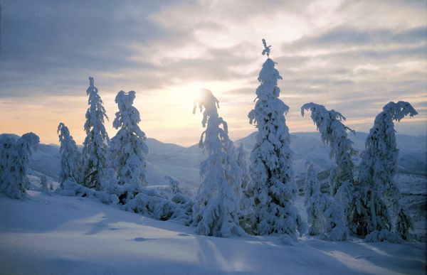 A winter landscape - Sputnik International