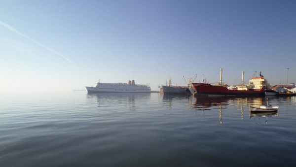 Russian captain asks UAE to impound his ship - Sputnik International