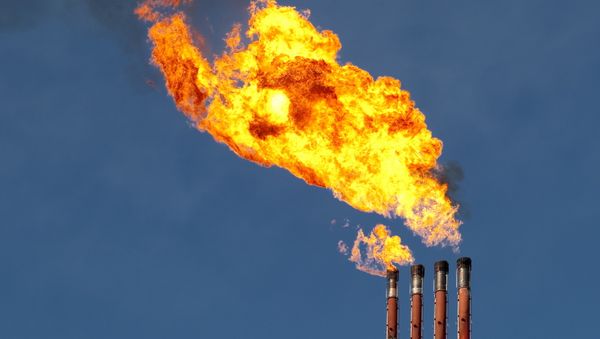 Gas flare system - Sputnik International