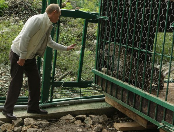 Vladimir Putin visits Sochi National Park - Sputnik International